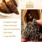 VIGOROUS MOUNTAINS Organic Dried Morel Mushrooms and Dried Porcini Mushrooms 3oz for Cooking