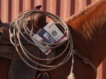 R-C Ranch - Wagyu Beef Jerky - Texas Original 3oz, Zero Sugar, Keto Friendly, Gluten Free, Low Carb