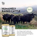 First Light Farms Wagyu Beef Tallow | 100% Grass-Fed & Finished, 14oz Glass Jar | Healthy Cooking Oil, Gluten-Free & Dairy-Free, Perfect for Keto, Whole30, and Carvinore Diet