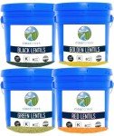 Clear Creek 100 LB Lentil Bundle: Beluga Lentils, Gold Lentils, Green Lentils, Red Lentils in 25 LB Buckets