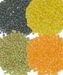 Clear Creek 100 LB Lentil Bundle: Beluga Lentils, Gold Lentils, Green Lentils, Red Lentils in 25 LB Buckets