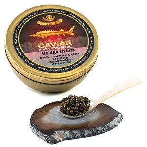 OVERNIGHT SHIPPING - OLMA Beluga Hybrid Sturgeon Black Caviar from Italy - Rated Top Caviar in the World - 8.8 oz / 250 g