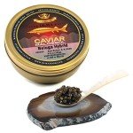 OVERNIGHT SHIPPING - OLMA Beluga Hybrid Sturgeon Black Caviar from Italy - Rated Top Caviar in the World - 8.8 oz / 250 g