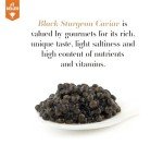 𝐁𝐄𝐒𝐓𝐒𝐄𝐋𝐋𝐄𝐑 - KASPIAN Collection - Premium Osetra Sturgeon Black Caviar - 3.5 oz / 100 g - Premium Black Caviar with Classical Malossol Taste from Sturgeon Black Roe by Caviar d'Eden