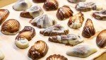 Gourmet Chocolate Hazelnut Praline Truffles by Guylian, White, Milk, and Dark Chocolate Candy Seashells, Belgian Chocolate Gift Box for Women and Men, 22 Truffles
