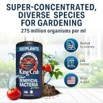 King Crab Instant Compost Tea, Root Stimulator for Plants, Ultra Concentrated OMRI Organic Bacteria, 275 Million Organisms per ml, Roses, Tomatoes, Houseplants, Soil Conditioner, Soil Microbes