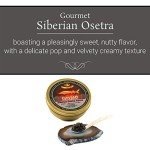 OVERNIGHT SHIPPING - OLMA Siberian Osetra Aurora Black Caviar - Medium Grain Pearls, Superior Grade - 8.8 oz / 250 g