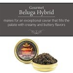 OVERNIGHT SHIPPING - OLMA Beluga Hybrid Sturgeon Black Caviar from Italy - Rated Top Caviar in the World - 4.4 oz / 125 g