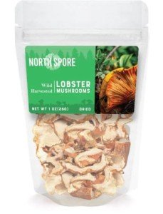 North Spore Wild Dried Lobster Mushroom 28 grams