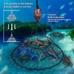 QualyQualy Crab Ring Trap Net, Ring Crab Kit Lobster Hoop, Portable Folded Crab Cage, Crabing Accessories with Bait, Heavy Crab Nets for Crabbing, 32" x16.5'', 2 Pack
