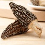 Premium Grade Dried Morel Mushrooms (Morchella Conica), 2 oz Gourmet Morel Mushrooms Nourishing Morchella Conica羊肚菌Shipping from California, U.S.