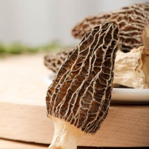 Premium Grade Dried Morel Mushrooms (Morchella Conica), 1 oz Gourmet Morel Mushrooms Dehydrated Delicacies Nourishing Morchella Conica羊肚菌