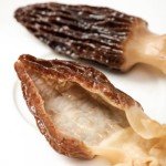 Premium Grade Dried Morel Mushrooms (Morchella Conica), 1 oz Gourmet Morel Mushrooms Dehydrated Delicacies Nourishing Morchella Conica羊肚菌