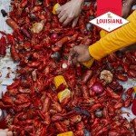 Louisiana Fish Fry Products Crawfish, Shrimp & Crab Boil Seasoning - Spicy & Delicious Seafood Powder Complete Seasoning - Low Salt Cajun Seasoning (4.5 Pound (Pack of 2))