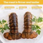 OCEANZEN: Premium Grade A Maine Lobster Tails, 6 x 6 oz - Flash Frozen for Freshness,Overnight Shipping (Mon-Thu) Available