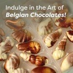 Belgian Chocolate Seashells, 22 Gourmet Hazelnut Praline Truffles by GuyLian, Assorted White and Milk Chocolate Candy Gift Box for Women and Men, 250g