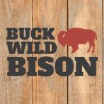 Buck Wild Bison, Bison Meat Stick, 8 Grams of Pure Bison Protein, Pasture Raised, Made in the USA, Incredible Taste, Beef Added (12 Sticks, Variety)
