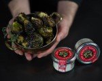 Urbani Truffles, Black Truffle Salt - Guérande black Sea Salt Infused with Real Truffle for Exceptional Flavor Enhancement in Cooking, Fries, Grilled Fish, Meats | All Natural | 3.5 oz