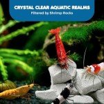 SunGrow Shrimp Rocks for Aquarium, 4-oz. Calcium Stones for Shrimp, Freshwater Aquarium Calcium Rocks for Snails, Recreate Shrimp Habitat, Feeder Discs for Crabs & Crayfish, Snail Tank Accessories