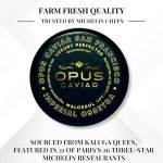 Opus Imperial Osetra Black Caviar - Great with Blinis for Caviar Food as Fresh Cavier Fish Roe, Osetra Non-Pasteurized Sturgeon Cabiar, Affordable Gourmet Cavier, Ossetra Sturgeon Roe 1.8oz / 50g