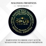 Opus Imperial Osetra Black Caviar - Great with Blinis for Caviar Food as Fresh Cavier Fish Roe, Osetra Non-Pasteurized Sturgeon Cabiar, Affordable Gourmet Cavier, Ossetra Sturgeon Roe 1.8oz / 50g