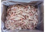 Key West Jumbo Pink Shrimp - Wild Caught