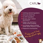Caru Soft 'n Tasty Venison Dog Treats 3.75 oz