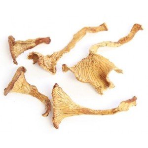 Dried Chanterelle Mushrooms - 1 oz. Life Gourmet Shop