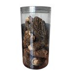 Dried Yellow Morel Mushrooms - Gourmet Seasoning 2oz