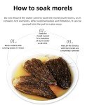 Dried Yellow Morel Mushrooms - Gourmet Seasoning 2oz