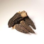 Season Harvests Dried Morel Mushrooms 2oz