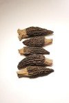 Season Harvests Dried Morel Mushrooms 2oz