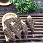 16oz Dried Morel Mushrooms - Morchella Conica
