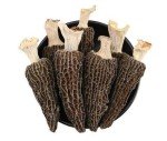 16oz Dried Morel Mushrooms - Morchella Conica