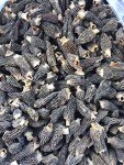 16oz Dried Morel Mushrooms - Morchella Conica