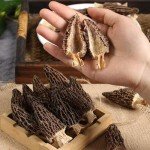 Dried Morel Mushrooms - 2 Packs of 60g
