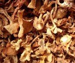 Premium Dried Chanterelle Mushrooms - 16oz