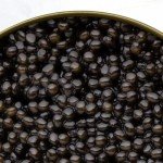 King Grade Beluga Sturgeon Caviar - 2 Oz