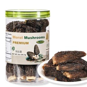 Premium Dried Morel Mushrooms - Hand-Trimmmed, Natural