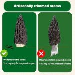 Premium Dried Morel Mushrooms - Hand-Trimmmed, Natural