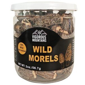 Premium Dried Wild Morel Mushrooms – 2oz