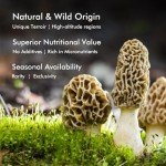 Premium Dried Wild Morel Mushrooms – 2oz