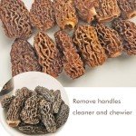 Premium Dried Wild Morel Mushrooms – 2oz