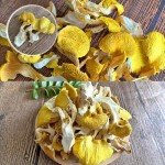 All-Natural Dried Chanterelle Mushrooms - 2.8oz