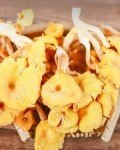 All-Natural Dried Chanterelle Mushrooms - 2.8oz