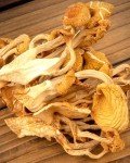 All-Natural Dried Chanterelle Mushrooms - 2.8oz
