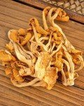 All-Natural Dried Chanterelle Mushrooms - 2.8oz