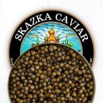 Beluga Golden Kaluga Sturgeon Caviar - 16 Oz