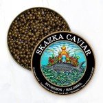 Beluga Kaluga Sturgeon Caviar - 8 oz Delight