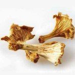Premium Dried Chanterelle Mushrooms (8oz)